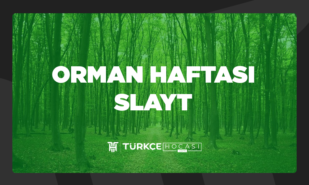 Orman-Haftası-Slayt-TurkceHocasi_com.png
